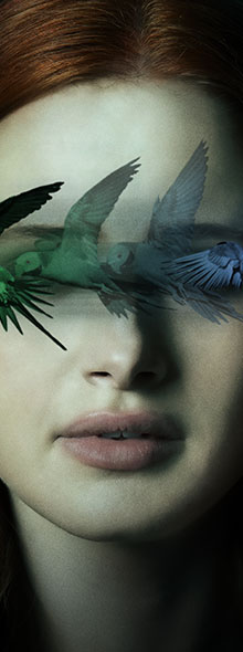 sightless_220x590.jpg